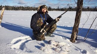 Ptarmigan Hunt [upl. by Gabor]