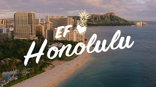 EF ❤ Honolulu [upl. by Anihs]