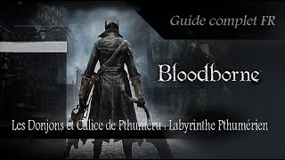 Bloodborne Guide FR Tutos Les Donjons Calices dans Bloodborne [upl. by Crabb]