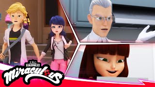 MIRACULOUS  🐞 COMPILATION 7  SEASON 5 🐾  Tales of Ladybug amp Cat Noir [upl. by Adnaluy]