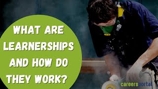 What Are Learnerships And How Do They Work  Careers Portal [upl. by Sherye]