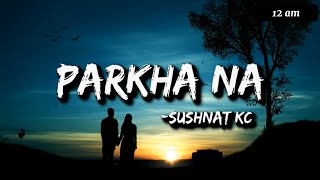 Parkhana lyrical song parkhana nepali songlyricalsong2024 NesnalMusic [upl. by Aicenert103]