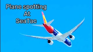 Plane Spotting at SeaTac Airport is INCREDIBLE 2024 [upl. by Erfert]