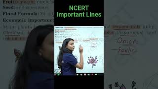 Examples Of Liliaceae Family  Revision Biology NEET  NCERT important lines for NEET  ncert neet [upl. by Bella]