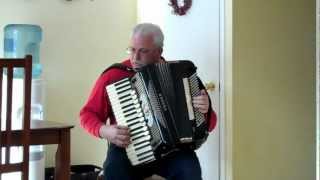 Johnny B Goode cover Accordion solo [upl. by Soisanahta]