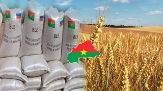 Suspension de l importation de la farine de blé au Burkina les contours de cette décision [upl. by Ennovahs]