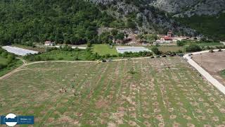 Sadnja maslinika Poprati Stolac  Eko park Bartoli [upl. by Leohcin762]