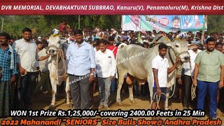 2022 MAHANANDI quotSENIORSquot Bulls Show 1st Prize Rs125000 Won By DVR MEMORIALKanuru2400FT [upl. by Notwen277]