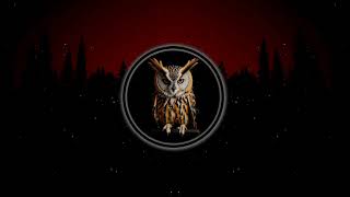 groffya  Owl FREE BEAT [upl. by Nosredna]