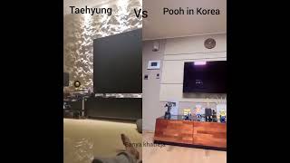 Pooh in Korea recreated Taehyung story 🤣 [upl. by Arod617]