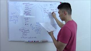 USMLE Renal 4 Nephron Pharmacology [upl. by Aiekal]