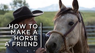 How to make a horse a friend One cowboys partnership with horses [upl. by Niltag]