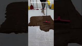 Reverse cleaning carpet shorts youtubeshorts trending viralvideo video satisfying cleaning [upl. by Susann]