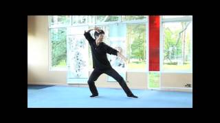 Tiger Qigong for Vitality by Zhixing Wang The Dao Hua Qigong School UK [upl. by Cohn]