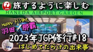 【2023年Vlog ・JGP修行＃18】仕事帰りに修行へ雲の上で当日アップグレードに挑戦JAL空の旅JAL修行看護師じょうじの暮らし [upl. by Alyose554]