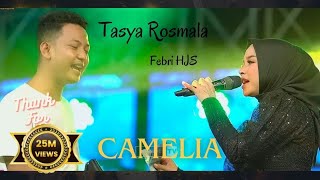 LIVE BANJIR SAWERAN  CAMELIA  TASYA ROSMALA  OM ADELLA  LIVE DI HJS PAMEKASAN MADURA [upl. by Oilicec658]