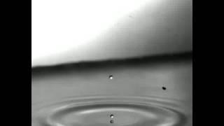 Jet drop formation from a bursting bubble [upl. by Sisely]