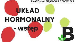 UKŁAD HORMONALNY wstęp  Anatomia i fizjologia człowieka  KOREPETYCJE z BIOLOGII  300 [upl. by Murton]