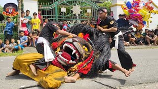 Barongan Kesurupan Ngamuk  Barongan Singo Rogowongso live Kemantren Godong  BarongBoys [upl. by Anayrb]