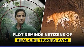 Vidya Balan Roars In Sherni Plot Reminds Netizens Of RealLife Tigress Avni [upl. by Sofer265]