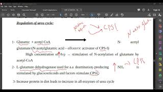 L70 Regulation of urea cycle [upl. by Nash867]