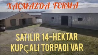 Xaçmazda 14 Hektar Kupçali Torpağ Sahəsində Möhtəşəm Ferma Satilir 0510708888281 [upl. by Swayder]