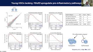 Kamil Kranc quotThe impact of RNA modifications on normal and malignant haematopoiesis” [upl. by Nevear]