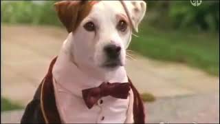 Wishbone PBS Kids  Bark to the Future Full episode  The Time Machine [upl. by Flita548]