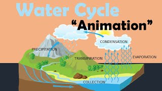 WATER CYCLE  Biology Animation [upl. by Nuawaj]