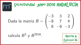 Potencias de matrices [upl. by Adrahs]