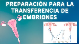 Preparación para la transferencia de embriones 2023 [upl. by Kincaid]