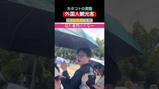 奈良公園は平和です。奈良公園の鹿 中国 韓国 観光客 玉木雄一郎 国民民主党 財務省 石破茂 裏金 自民党 立憲民主党 [upl. by Airdni]