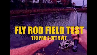 Fly rod field testTFO pro 2 9ft 5wt [upl. by Dira]