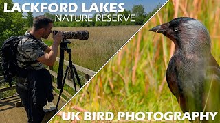 UK Bird Photography at Lackford Lakes  Sony A7IV amp Sony FE 200600mm F5663 G OSS [upl. by Daly]