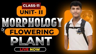 MORPHOLOGY OF FLOWERING PLANTS CLASS 11  NCERT DEEP LINES  COMPLETE NCERT FOR NEET 2025 [upl. by Eppesuig]