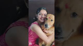 Mahima makwana with her pet dog mahimamakwana shorts youtubeshorts viralvideo ytshorts [upl. by Kial]