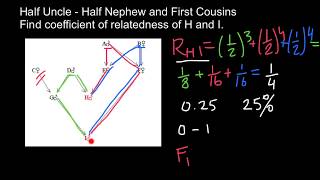 How to Find Relatedness and Inbreeding Coefficient practice problem [upl. by Jemimah385]