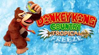 Mangrove Cove Underwater  Donkey Kong Country Tropical Freeze Slowed  Reverb [upl. by Aneehs]