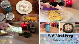 Weight Watchers  Meal Prep 29  Trying some new recipes  012917 [upl. by Jahdal304]