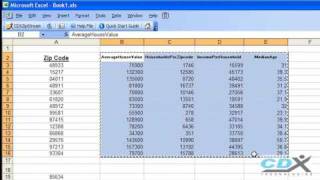 Demographic Data in Excel [upl. by Matta549]