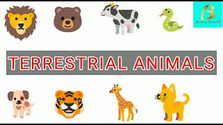 Terrestrial animals name with pictures 10 terrestrial animals kids learning videos Burhan kids tv [upl. by Ikila]