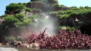 Splash Mountain POV Log Flume Water Ride Tokyo Disneyland Japan 1080p HD [upl. by Nyra]