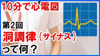 【10分で心電図】洞調律サイナスって何？ 2 [upl. by Koblick]