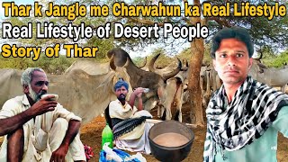 Thar k jangle me charwahun ki real lifenatural and beautiful desert lifestyleThar Vlog [upl. by Aisena]