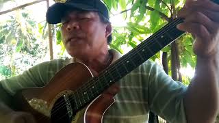 SONG TITLEBABAENG BIGAON  COVER BYDON ANSELMO TV [upl. by Canon]