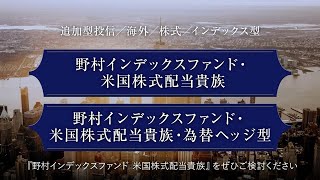 野村インデックスファンド・米国株式配当貴族 [upl. by Winona]