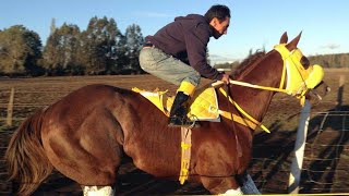 El Candelito  Sebastián Almendras quotEl Cuarto De Millaquot Corridos De Caballos [upl. by Dnalor]