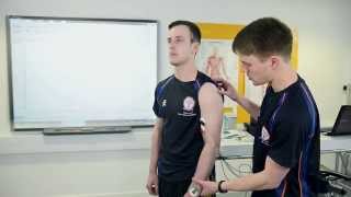 Electromyography EMG in Sport and Exercise Science [upl. by Eitsyrk]