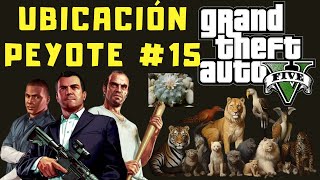 Ubicaciones de Peyote en GTA V 15 Modo Historia [upl. by Lled]