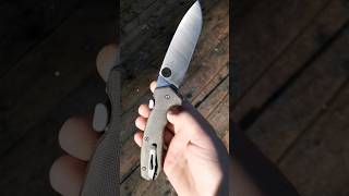 spyderco amalgam edc knife shorts [upl. by Otrebogir]